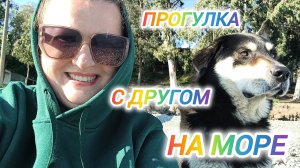КЫНДЫГ. ПРОГУЛКА С ДРУГОМ ДО МОРЯ. МОРСКОЙ ПЁС. ВОСПОМИНАНИЯ.