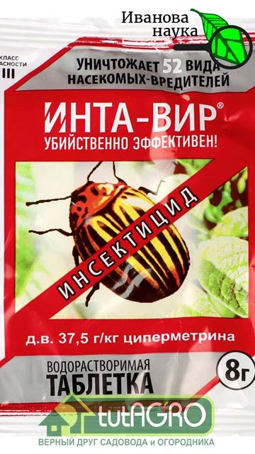 Сделайте ЭТО с ягодниками в ИЮНЕ! 🍓 Урожай удивит всех! Защита и подкормка. 🥄 Пошаговая инструкция