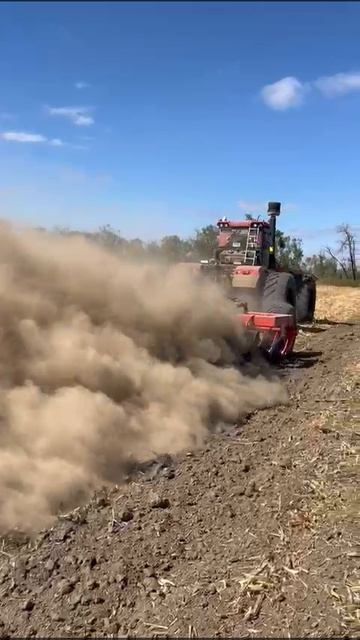Дискант-Мега🔥 от Willock Farm💪 по бетону