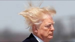 На Западе раскрыли кризис президентства Трампа