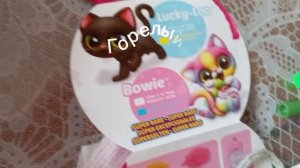 просто посмотрела в котолог игрушки