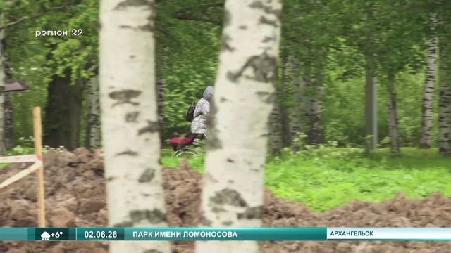 02.06.2026 Парк Ломоносова