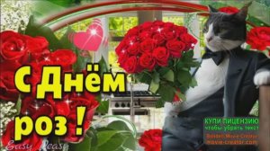 2 ИЮНЯ.С ДНЁМ РОЗЫ!МУЗЫКАЛЬНОЕ ПОЗДРАВЛЕНИЕ