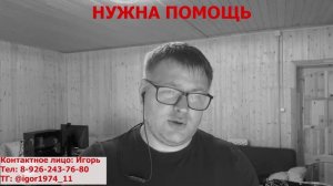 SOS! Нужна помощь! Необходимо пристроить двух взрослых Американских Акит Босса и Майу! Репост