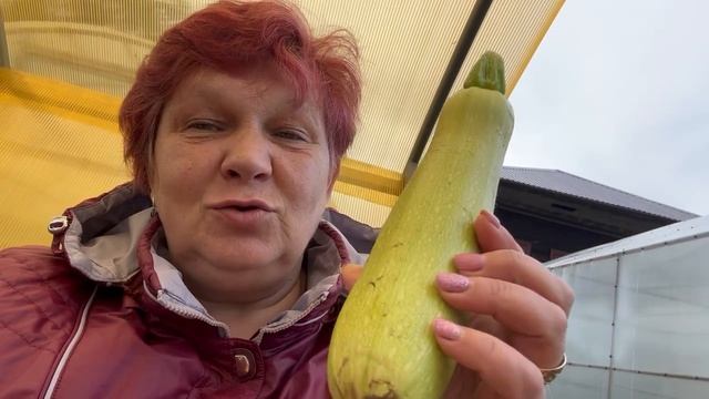 Готовимся к заморозку ночью 😱