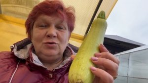 Готовимся к заморозку ночью 😱