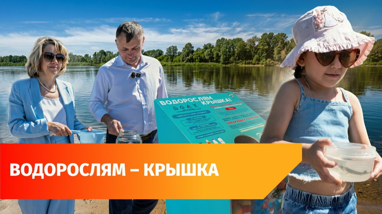 Зоозащитники выпустили 1000 мальков стерляди в Белую в районе уфимской Черниковки