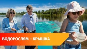 Зоозащитники выпустили 1000 мальков стерляди в Белую в районе уфимской Черниковки