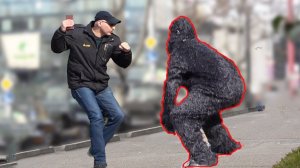 ГОРИЛЛЫ НАПУГАЮТСЯ!#БУШМАНСКИЙ ПРАНК