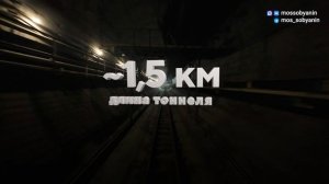 РОЛИК____20260601_192641602