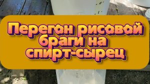 Перегон рисовой браги на спирт-сырец