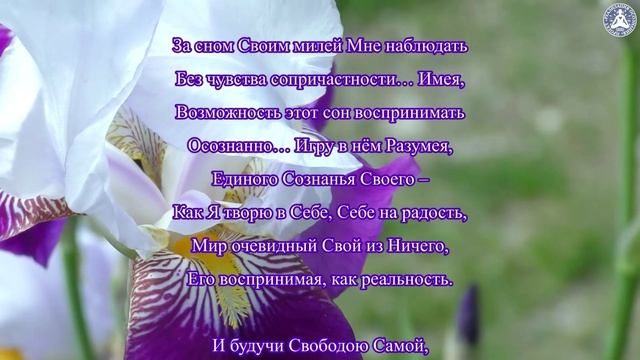 Я – Жизнь, Я – Безусловная Любовь! | Клипы Вечности 💘