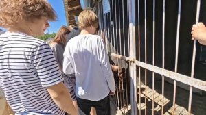 Брянские полицейские организовали для школьников экскурсию к четвероногим питомцам