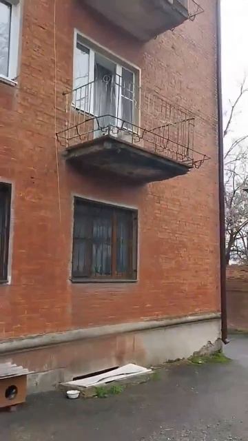 12213653 (2) смотреть онлайн