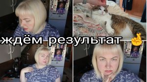 02-06-2026 Сегодня математика * Дело не в стрижке, а в укладке * Силы кончились