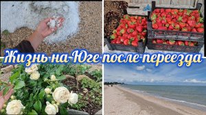 ПЕРЕЕХАЛИ НА ЮГ,ОБХОЖУ УЧАСТОК ПОСЛЕ УРАГАНА