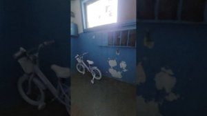1000187881.mp4