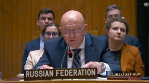🇷🇺🇺🇳Выступление В.А.Небензи на заседании Совета Безопасности ООН по ситуации в Ливане