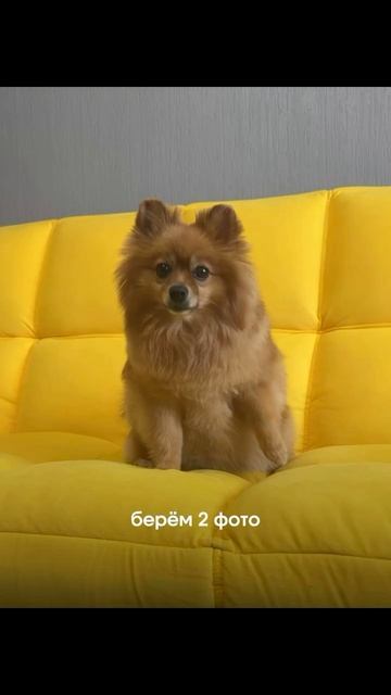 Такого финала не ожидал никто 😂😂😂