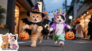 Жуткий, но сладкий Хэллоуин Джинджер и МуМу🎃👻