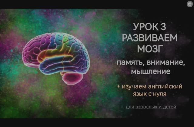 Развиваем мозг. Урок 3 смотреть онлайн