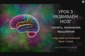 Развиваем мозг. Урок 3