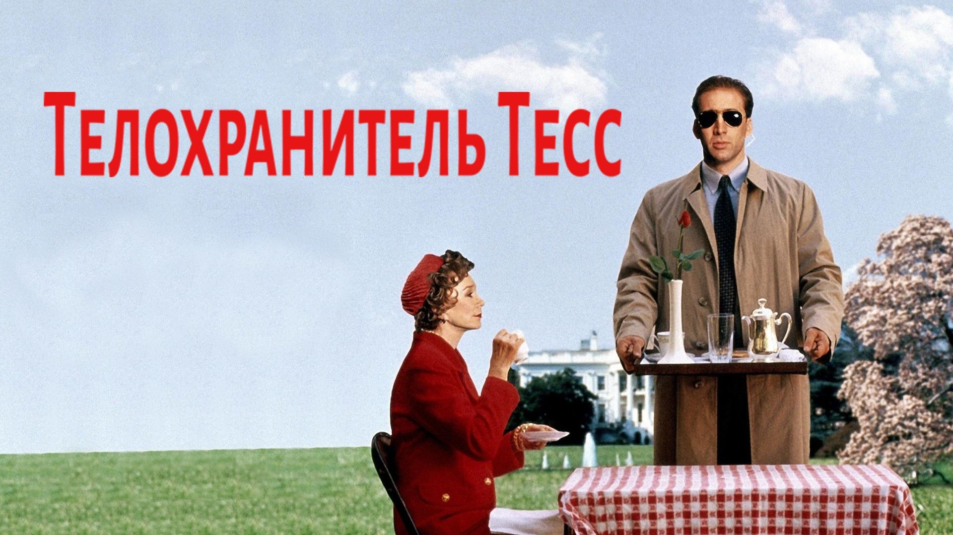 Телохранитель Тесс | Guarding Tess (1994) смотреть онлайн