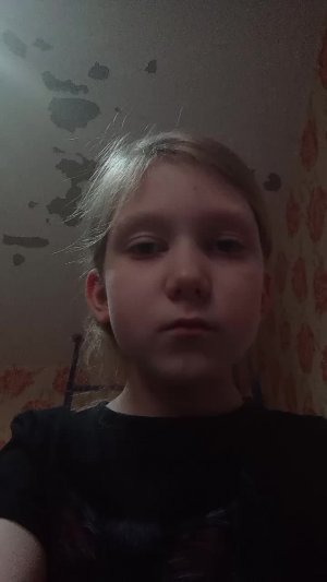 102 подписчика
