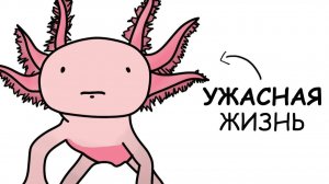 Ты – Аксолотль (И ЭТО ВСЯ ТВОЯ ЖИЗНЬ)