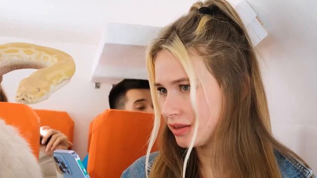 Как Пронести Домашних Животных в Самолёт # Смешные Моменты