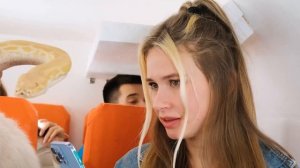 Как Пронести Домашних Животных в Самолёт # Смешные Моменты