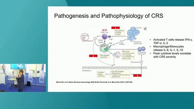 BISPECIFIC T-CELL ENGAGER (BITE)┬áTHERAPY ISICEM 45 смотреть онлайн