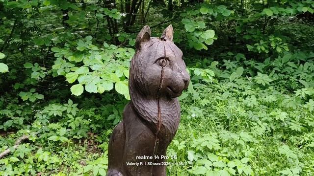 Прогулка #46 🌳🌲🌳🌲 30.05.2026
