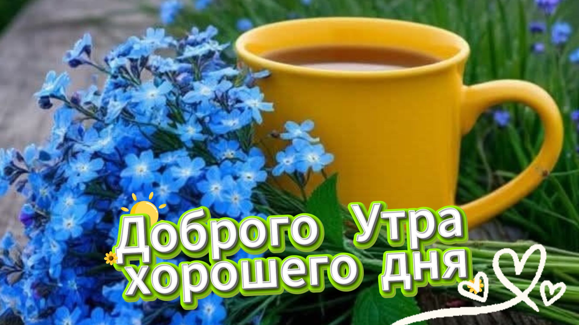 Доброго утра хорошего дня отличного настроения – красивая музыкальная открытка. Хорошего дня смотреть онлайн