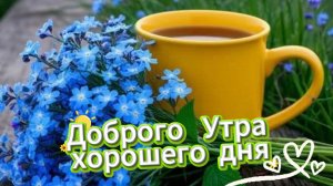Доброго утра хорошего дня отличного настроения – красивая музыкальная открытка. Хорошего дня