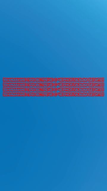 новости свиновской области.чёрноглазый