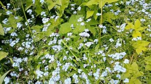 Красота природы моими глазами/Релакс