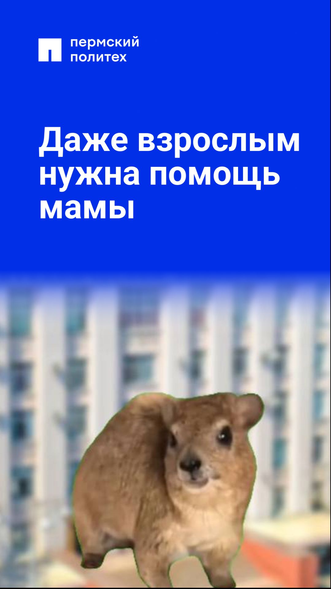 Даже взрослым нужна помощь мамы