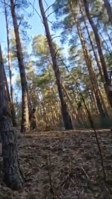 Хорошего всем вечера смотреть онлайн