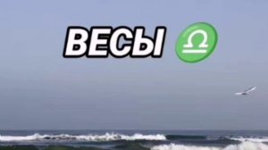 Весы и их красные линии