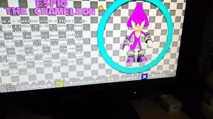 Все персонажи в sonic world