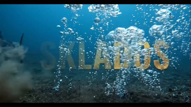 Эксклюзивное 3D Интро: Подводный мир и Золотой Логотип SKLADOS