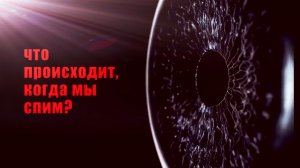 Парадокс спящего тела