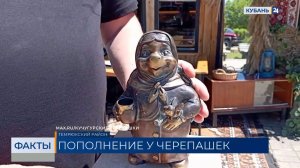 Новые «Кучугурские черепашки» появились в Темрюкском районе
