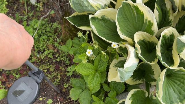 Чувство вины зашкаливает. Неловкая ситуация. Но знаю что это вкусно. Не радует. смотреть онлайн