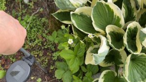 Чувство вины зашкаливает. Неловкая ситуация. Но знаю что это вкусно. Не радует.