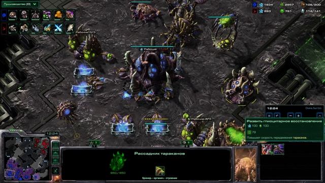 SC2 Медведь на турнире