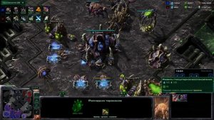 SC2 Медведь на турнире
