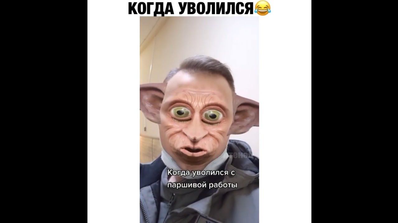 #смешныевидео -1465