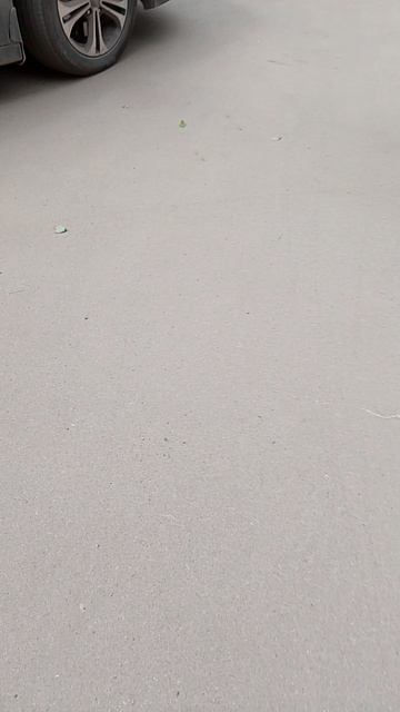в лагере смотреть онлайн